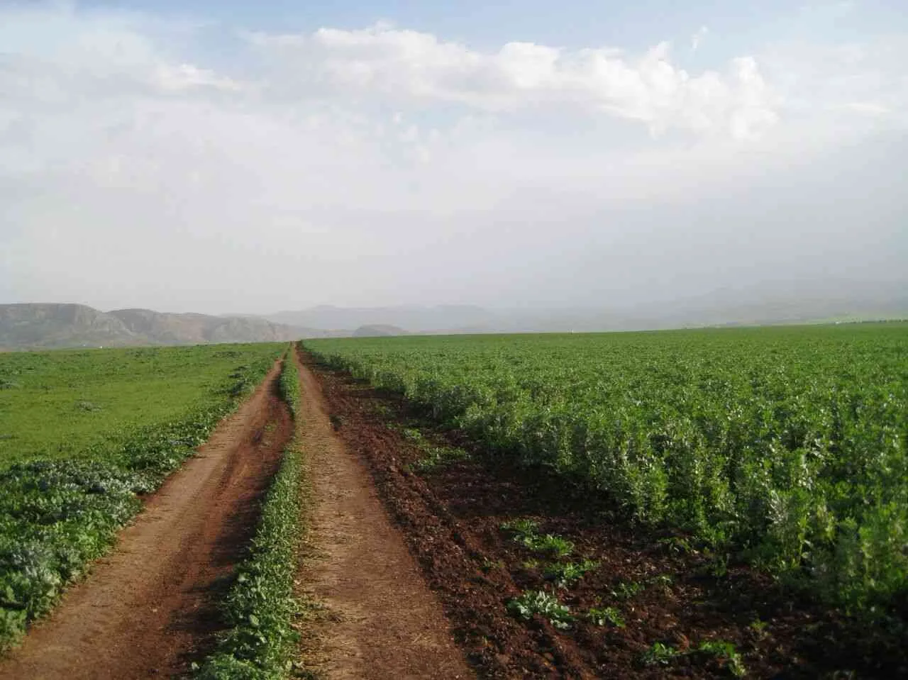 Land plot · Centre ville, Tangier