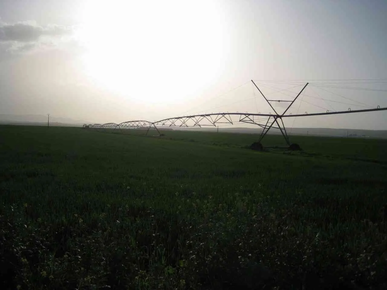 Land plot · Centre ville, Tangier