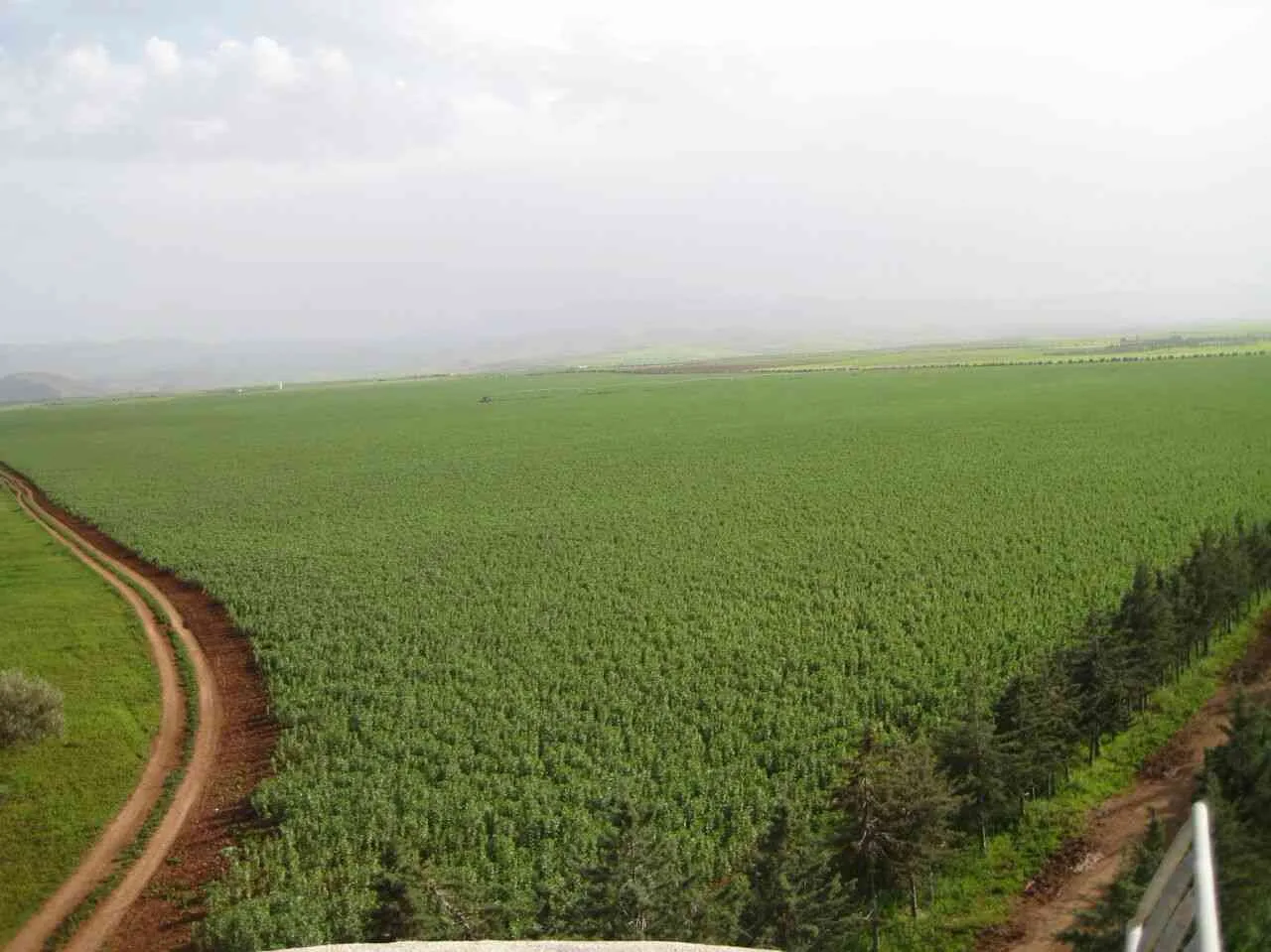 Land plot · Centre ville, Tangier