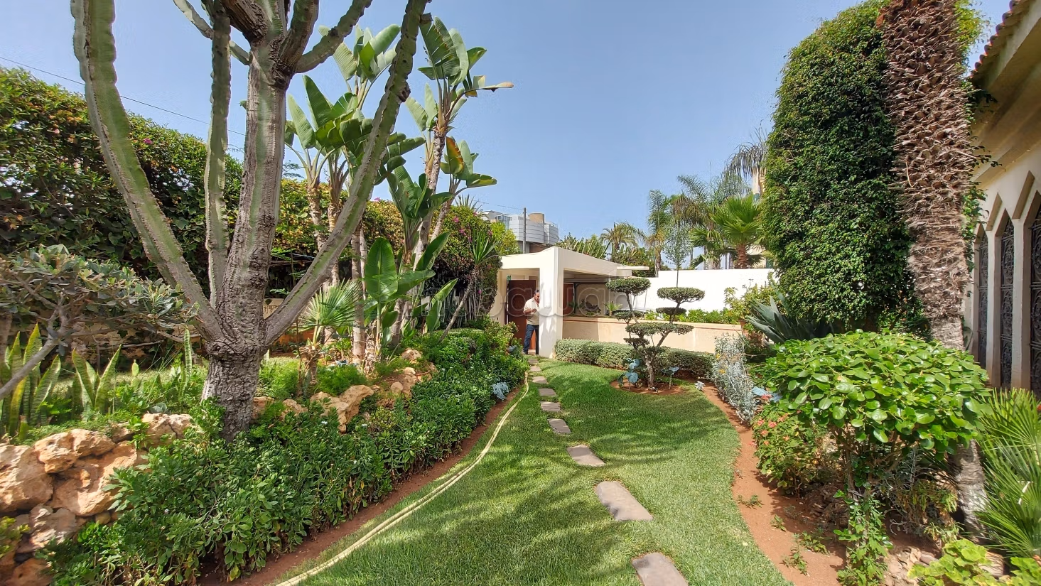 office · Casablanca, Casablanca